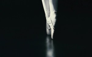 black-swan-039(www.Wallpapers76.com)-1680x1050